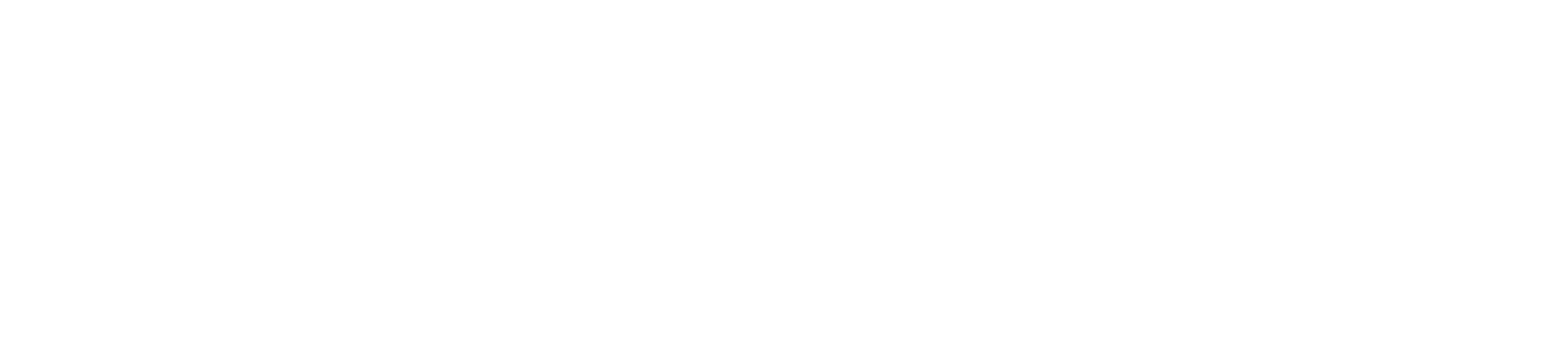 Voyer International